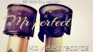 Mr Perfect - Swenka Fela ft. DJ La bengwa